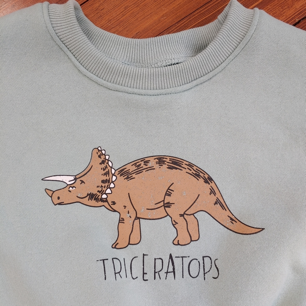 Zara dinosaur sweatshirt toddler 100% cotton